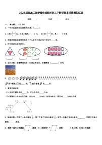 2023届黑龙江省伊春市汤旺河区三下数学期末经典模拟试题含解析