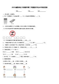 2023届路环岛三年级数学第二学期期末学业水平测试试题含解析