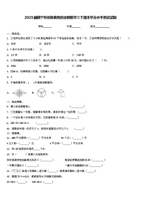 2023届镇宁布依族苗族自治县数学三下期末学业水平测试试题含解析