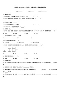 三亚市2022-2023学年三下数学期末统考模拟试题含解析