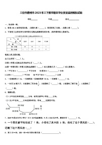 三亚市儋州市2023年三下数学期末学业质量监测模拟试题含解析