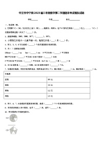 中卫市中宁县2023届三年级数学第二学期期末考试模拟试题含解析