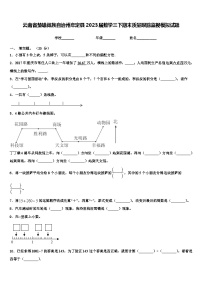 云南省楚雄彝族自治州牟定县2023届数学三下期末质量跟踪监视模拟试题含解析