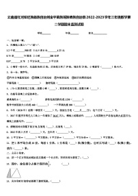 云南省红河哈尼族彝族自治州金平苗族瑶族傣族自治县2022-2023学年三年级数学第二学期期末监测试题含解析