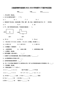 云南省昆明市宜良县2022-2023学年数学三下期末考试试题含解析