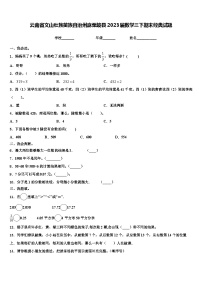 云南省文山壮族苗族自治州麻栗坡县2023届数学三下期末经典试题含解析