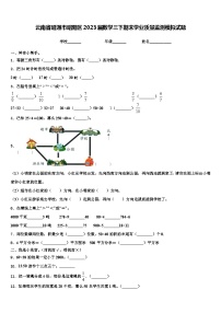 云南省昭通市昭阳区2023届数学三下期末学业质量监测模拟试题含解析