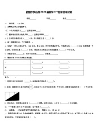 信阳市罗山县2023届数学三下期末统考试题含解析