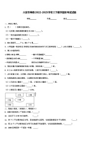 六安市寿县2022-2023学年三下数学期末考试试题含解析