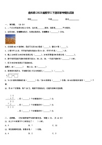 南和县2023届数学三下期末联考模拟试题含解析