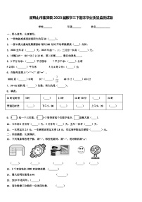 双鸭山市集贤县2023届数学三下期末学业质量监测试题含解析