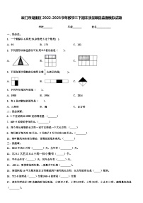 厦门市湖里区2022-2023学年数学三下期末质量跟踪监视模拟试题含解析