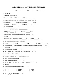 吉安市万安县2023年三下数学期末质量检测模拟试题含解析