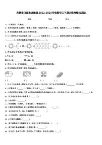 吉林省白城市通榆县2022-2023学年数学三下期末统考模拟试题含解析