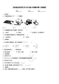 吉林省吉林市舒兰市2023届三年级数学第二学期期末含解析