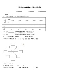 叶城县2023届数学三下期末经典试题含解析