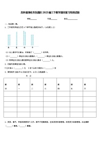 吉林省通化市东昌区2023届三下数学期末复习检测试题含解析