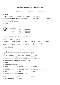 吉林省通化市辉南县2023届数学三下期末含解析