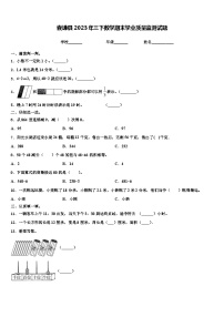 囊谦县2023年三下数学期末学业质量监测试题含解析