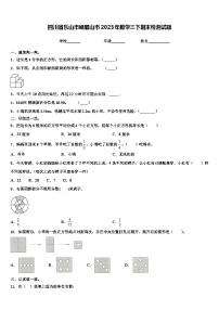 四川省乐山市峨眉山市2023年数学三下期末检测试题含解析