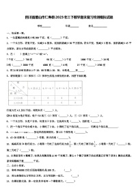 四川省眉山市仁寿县2023年三下数学期末复习检测模拟试题含解析