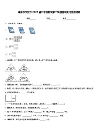 威海市文登市2023届三年级数学第二学期期末复习检测试题含解析