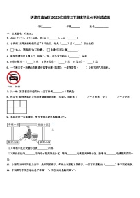 天津市塘沽区2023年数学三下期末学业水平测试试题含解析