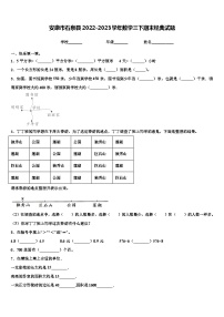 安康市石泉县2022-2023学年数学三下期末经典试题含解析