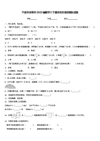 宁波市余姚市2023届数学三下期末综合测试模拟试题含解析