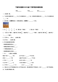 宁德市霞浦县2023届三下数学期末调研试题含解析