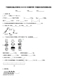 宁夏回族石嘴山市惠农区2023年三年级数学第二学期期末质量检测模拟试题含解析