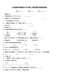 山东省潍坊市昌邑市2023届三下数学期末达标检测试题含解析