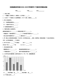 安徽省巢湖市和县2022-2023学年数学三下期末统考模拟试题含解析