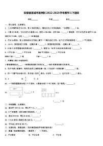 安徽省宣城市宣州区2022-2023学年数学三下期末含解析