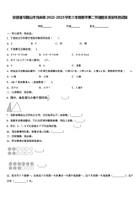 安徽省马鞍山市当涂县2022-2023学年三年级数学第二学期期末质量检测试题含解析