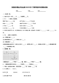 安徽省马鞍山市含山县2023年三下数学期末考试模拟试题含解析