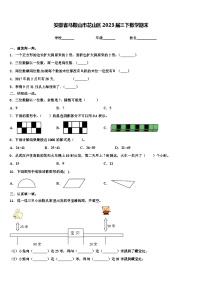 安徽省马鞍山市花山区2023届三下数学期末含解析