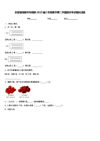 安徽省铜陵市枞阳县2023届三年级数学第二学期期末考试模拟试题含解析