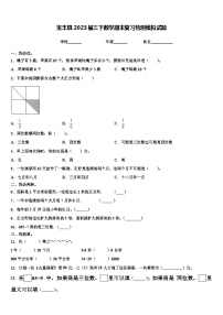 宝丰县2023届三下数学期末复习检测模拟试题含解析