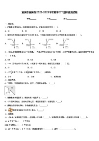 宜宾市宜宾县2022-2023学年数学三下期末监测试题含解析