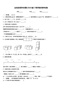 山东省东营市东营区2023届三下数学期末联考试题含解析