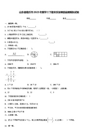 山东省临沂市2023年数学三下期末质量跟踪监视模拟试题含解析