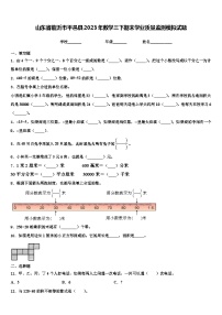 山东省临沂市平邑县2023年数学三下期末学业质量监测模拟试题含解析