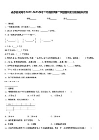 山东省威海市2022-2023学年三年级数学第二学期期末复习检测模拟试题含解析