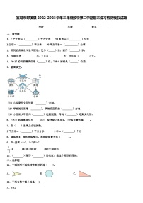 宣城市郎溪县2022-2023学年三年级数学第二学期期末复习检测模拟试题含解析