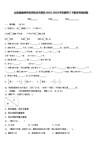 山东省德州市经济技术开发区2022-2023学年数学三下期末检测试题含解析