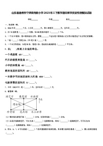 山东省德州市宁津县育新小学2023年三下数学期末教学质量检测模拟试题含解析