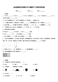 山东省德州市武城县2023届数学三下期末统考试题含解析