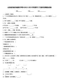 山东省济南市高新区学卷A2022-2023学年数学三下期末经典模拟试题含解析