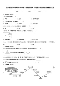 山东省济宁市兖州市2023届三年级数学第二学期期末质量跟踪监视模拟试题含解析